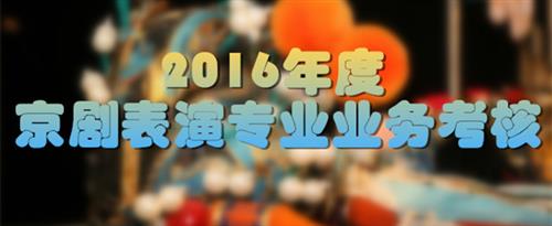 最新操逼资源网站国家京剧院2016年度京剧表演专业业务考...